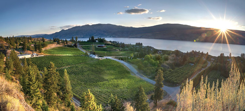 Maverick Estate